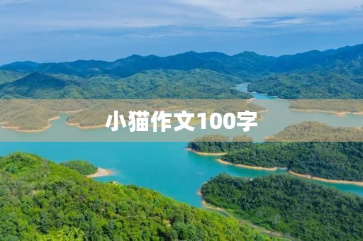 小猫作文100字