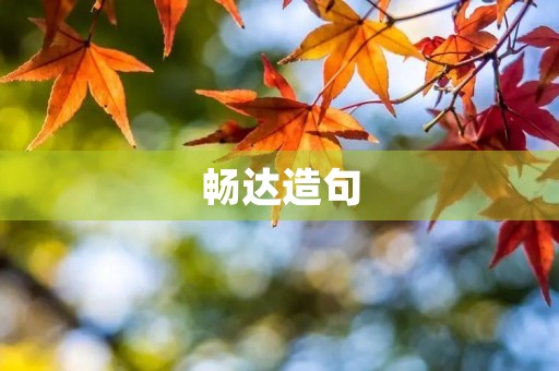 畅达造句