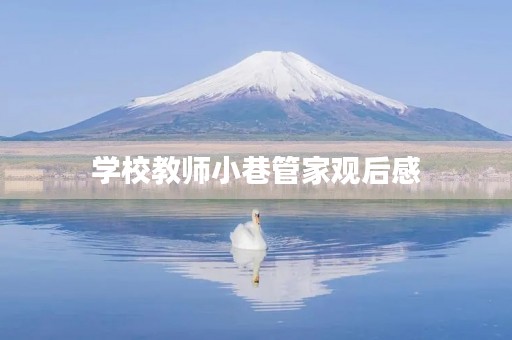 学校教师小巷管家观后感