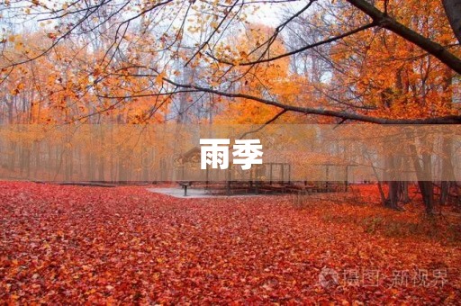 雨季