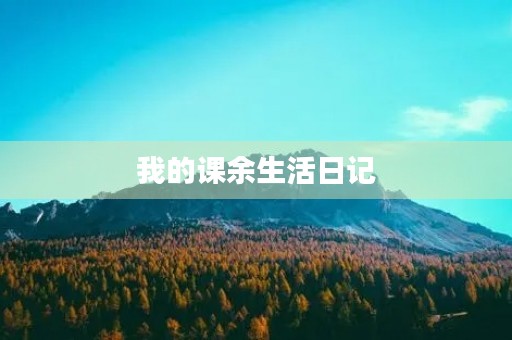 我的课余生活日记