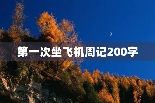 第一次坐飞机周记200字 第一次坐飞机周记200字