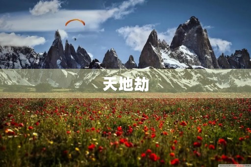 天地劫 天地劫
