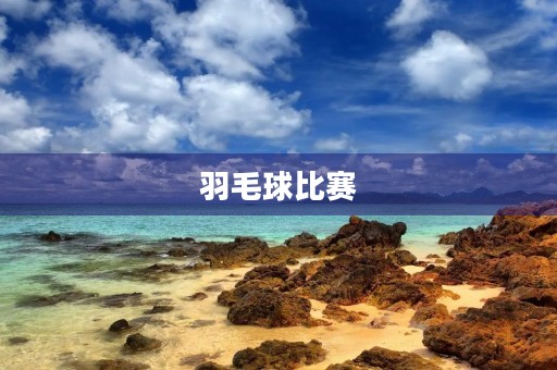 羽毛球比赛 羽毛球比赛