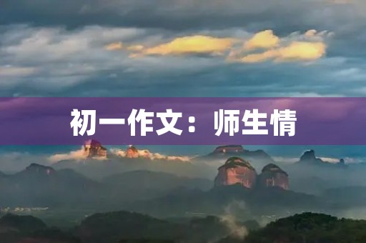 初一作文：师生情