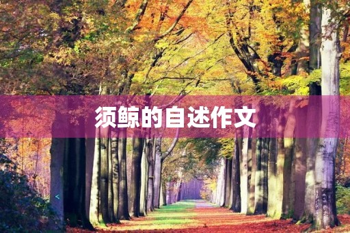须鲸的自述作文