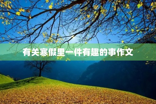 有关寒假里一件有趣的事作文 有关寒假里一件有趣的事作文