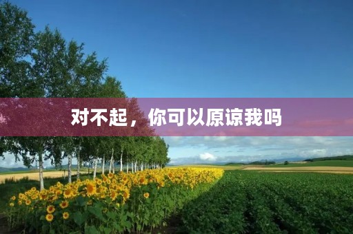 对不起,你可以原谅我吗 对不起,你可以原谅我吗