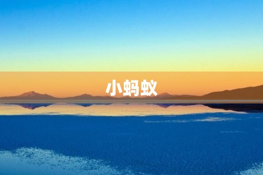 小蚂蚁