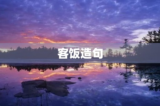 客饭造句