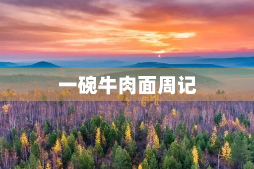 一碗牛肉面周记 一碗牛肉面周记