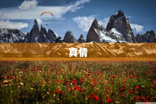 真情 真情