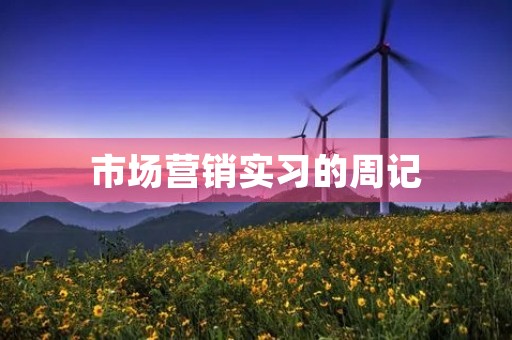 市场营销实习的周记