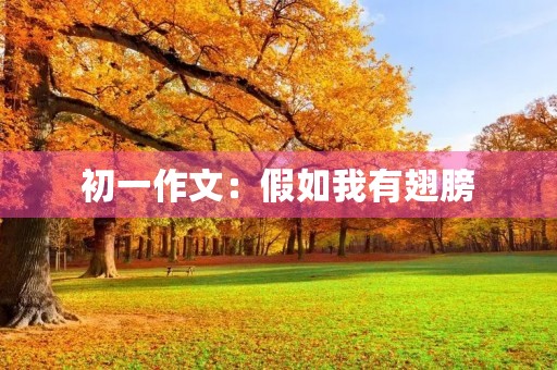 初一作文：假如我有翅膀