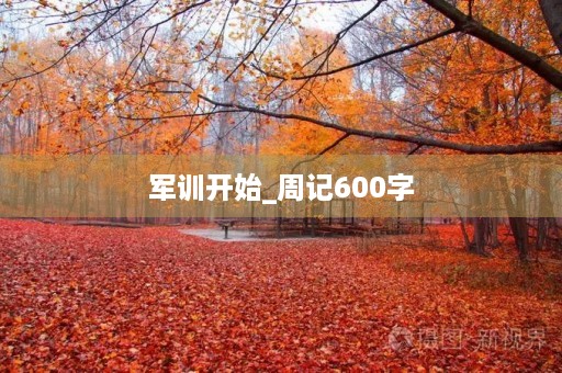 军训开始_周记600字
