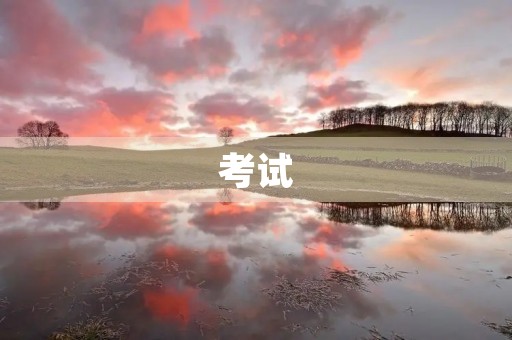 考试 考试