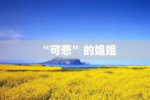 “可恶”的姐姐