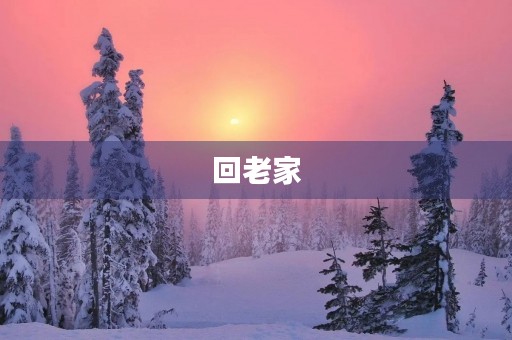 回老家