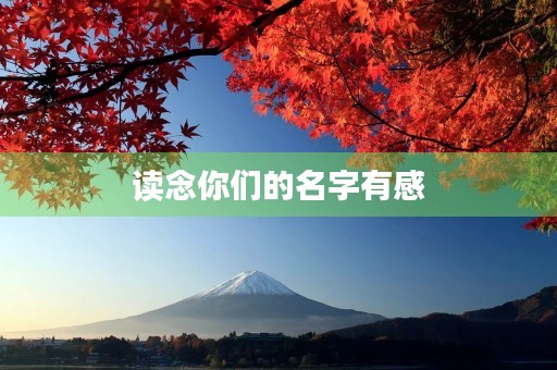 读念你们的名字有感 读念你们的名字有感