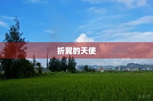 折翼的天使