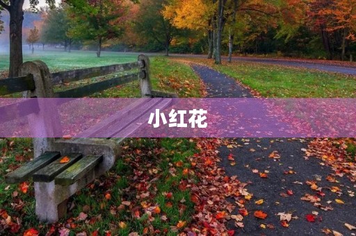 小红花 小红花
