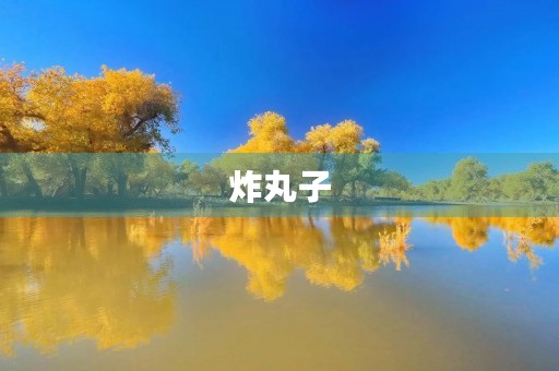 炸丸子 炸丸子