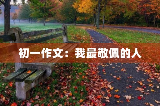初一作文:我最敬佩的人 初一作文:我最敬佩的人