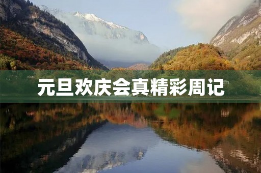 元旦欢庆会真精彩周记