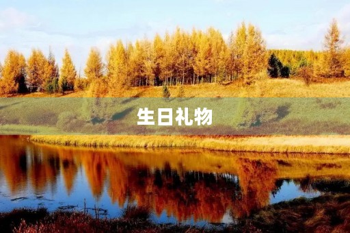 生日礼物 生日礼物