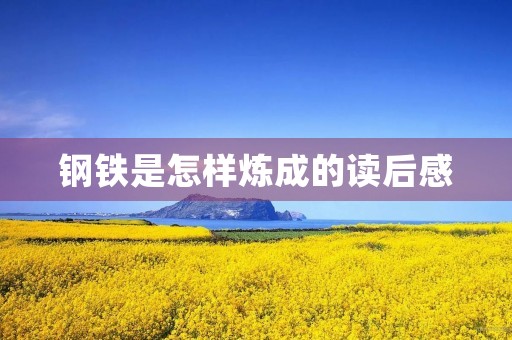 钢铁是怎样炼成的读后感 钢铁是怎样炼成的读后感