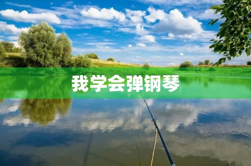 我学会弹钢琴 我学会弹钢琴