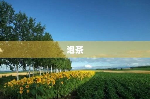 泡茶 泡茶