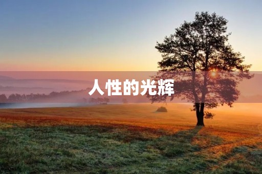 人性的光辉 人性的光辉