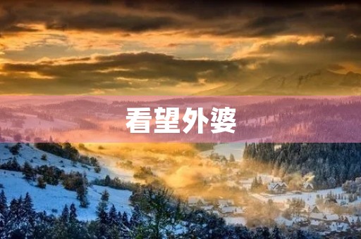 看望外婆 看望外婆