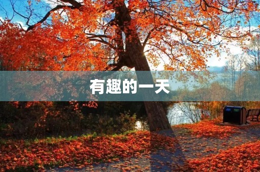 有趣的一天