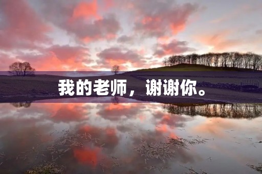 我的老师,谢谢你。 我的老师,谢谢你。