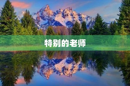 特别的老师