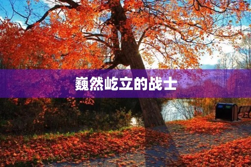 巍然屹立的战士 巍然屹立的战士