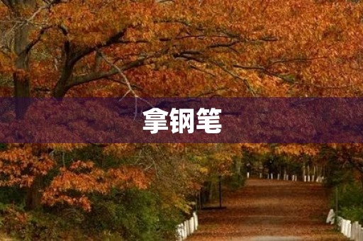 拿钢笔