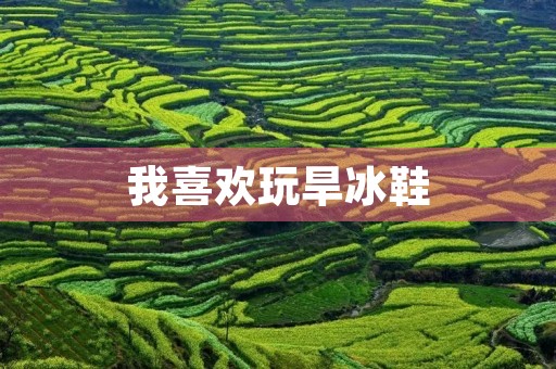 我喜欢玩旱冰鞋 我喜欢玩旱冰鞋