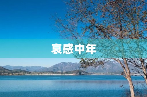 哀感中年 哀感中年