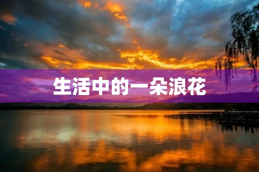 生活中的一朵浪花