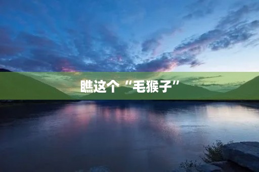 瞧这个“毛猴子”