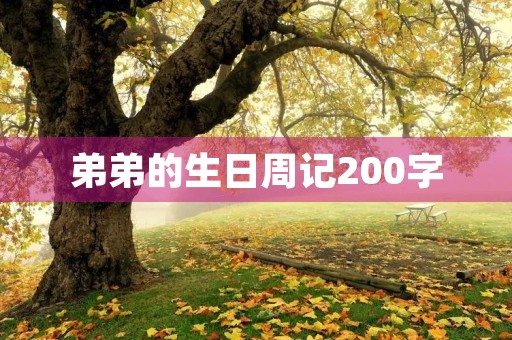 弟弟的生日周记200字 弟弟的生日周记200字
