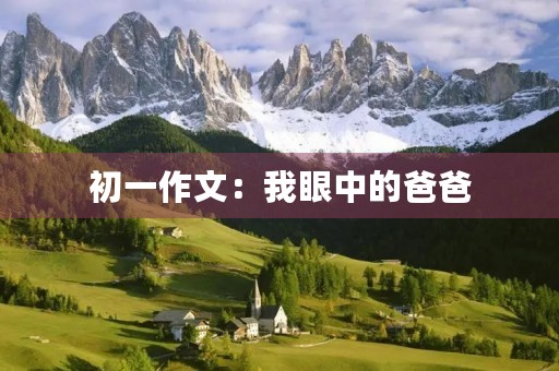 初一作文:我眼中的爸爸 初一作文:我眼中的爸爸