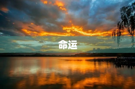 命运