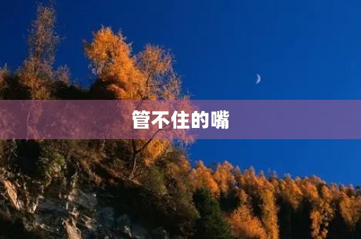 管不住的嘴