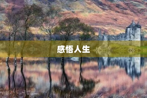感悟人生 感悟人生