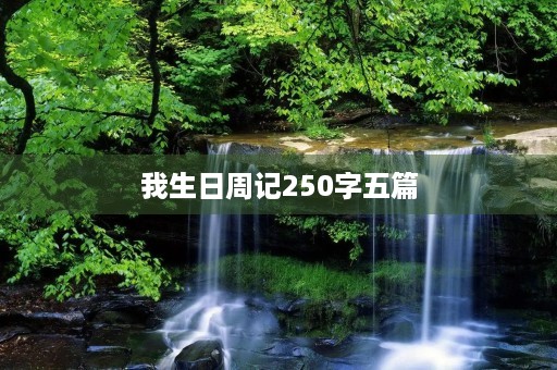 我生日周记250字五篇 我生日周记250字五篇
