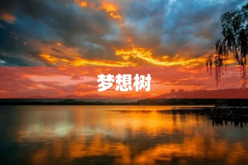 梦想树 梦想树